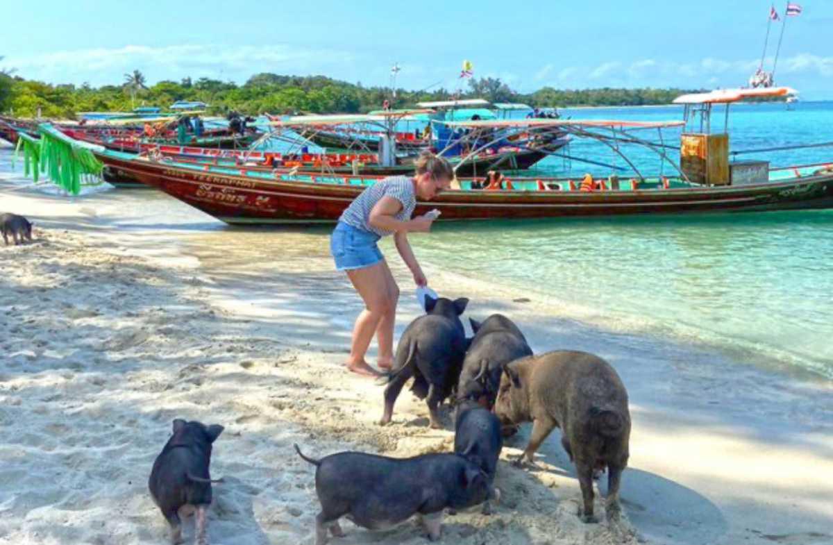 KOH MADSUM (PIG ISLAND) KOH MADSUM (PIG ISLAND)