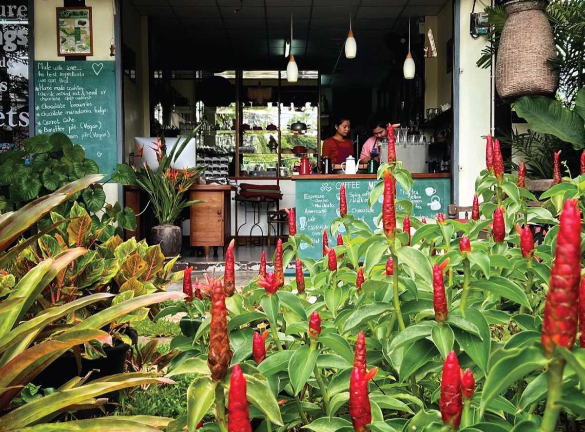 SWEET SISTERS CAFE SWEET SISTERS CAFE