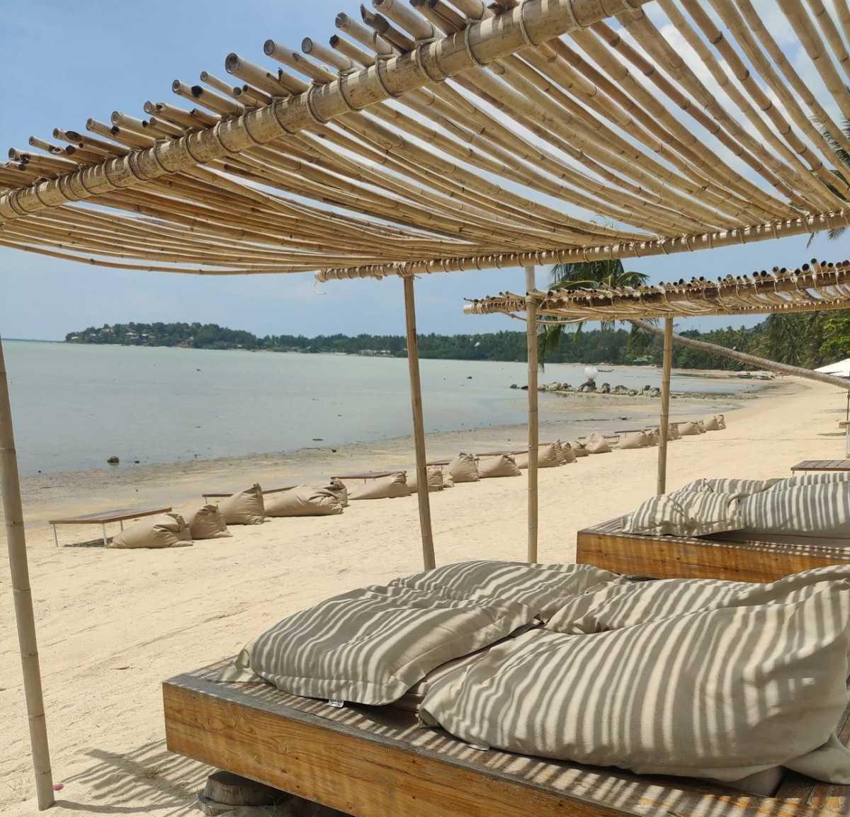 SUMMER SALTS SUMMER SALTS