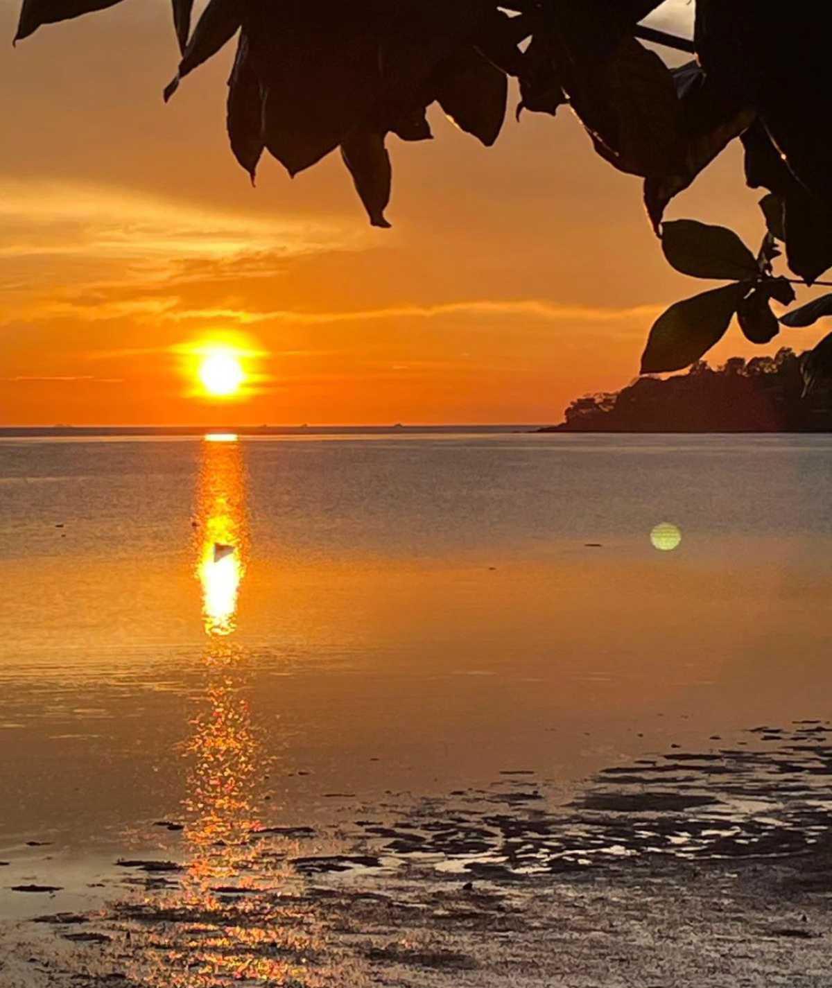 SUMMER SALTS SUMMER SALTS