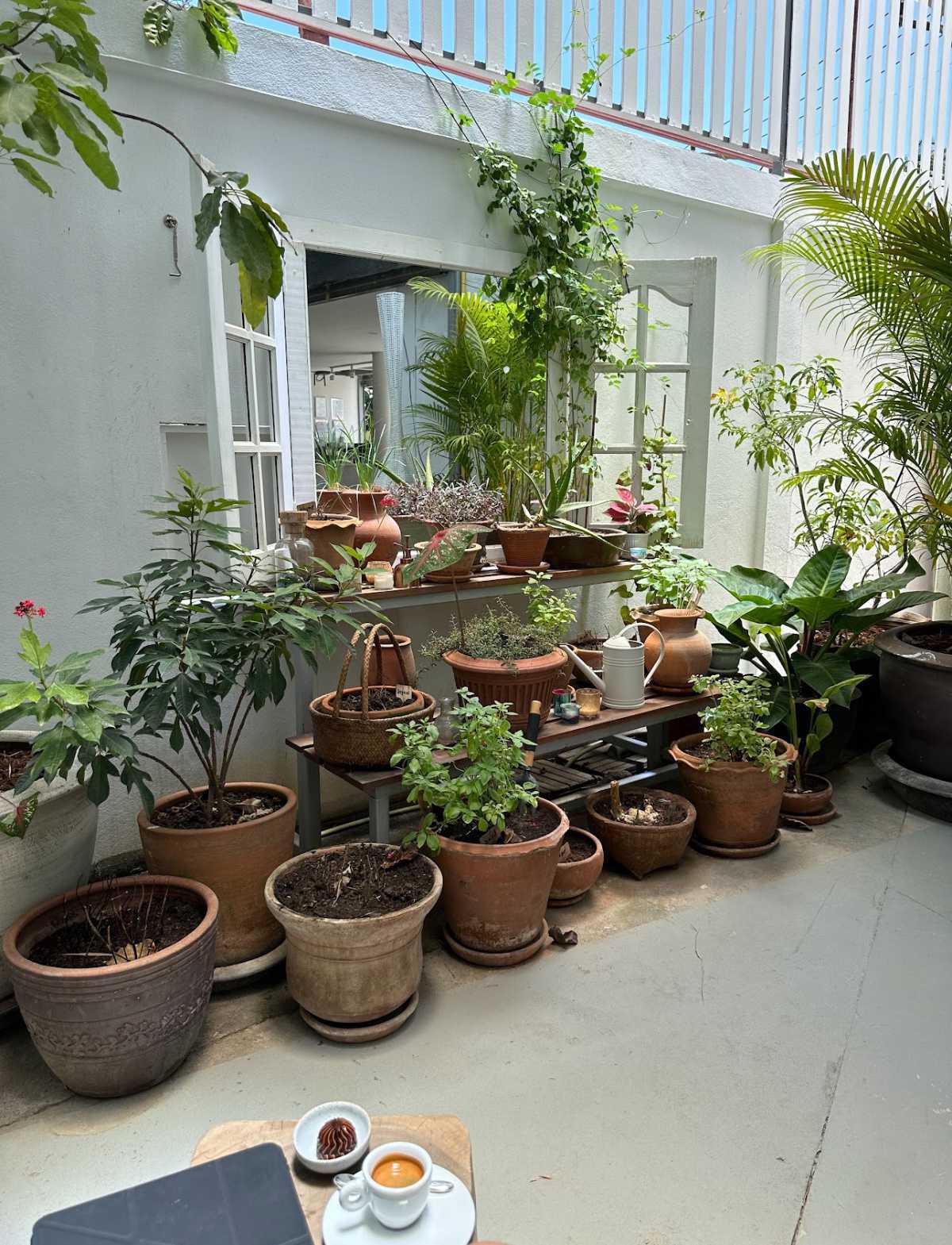 COFFEE CONNEXTIONS COFFEE CONNEXTIONS