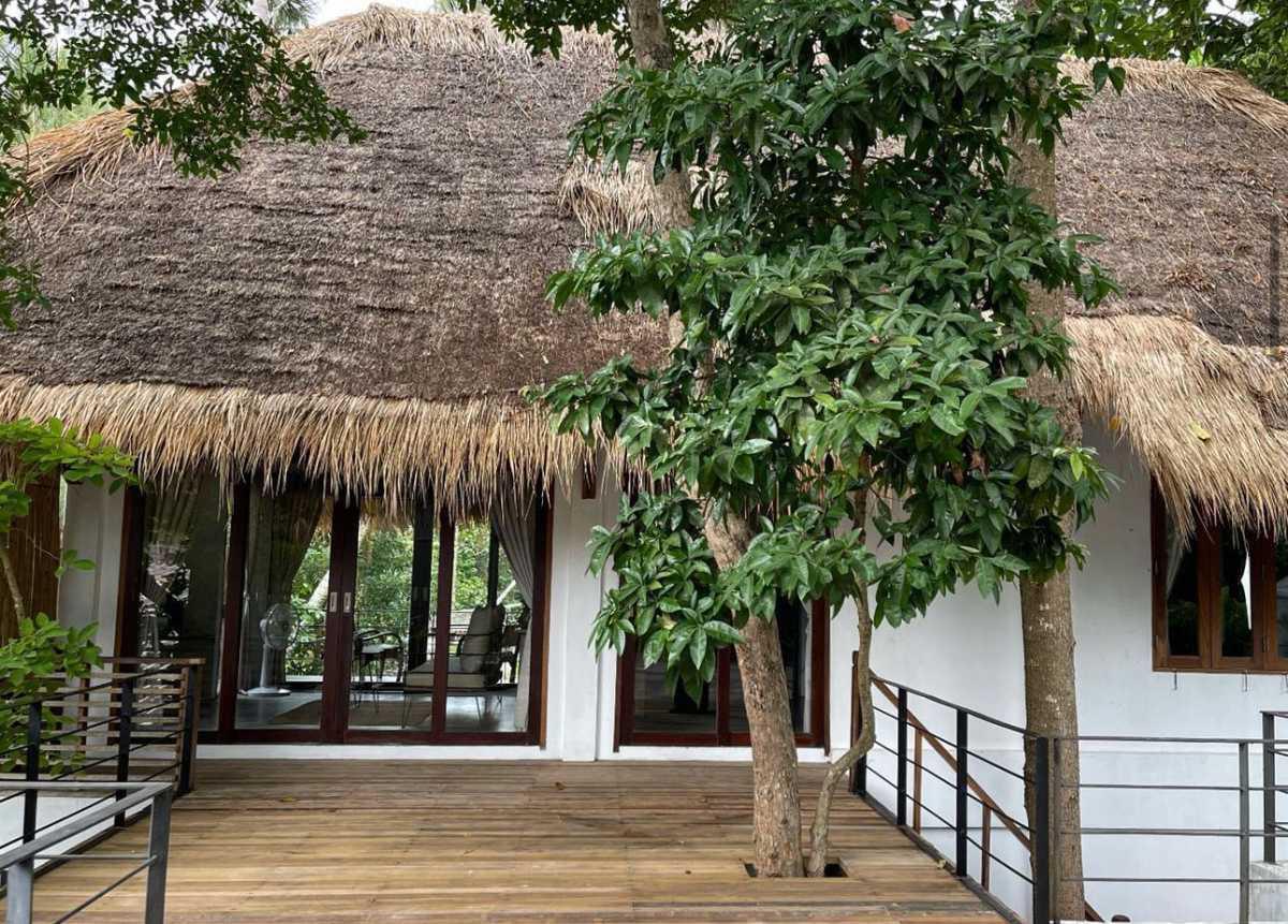 BIG TREE BOUTIQUE HOTEL & CAFE BIG TREE BOUTIQUE HOTEL & CAFE