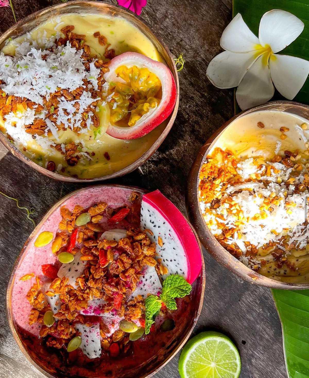 COCONUT MONKEY COCONUT MONKEY