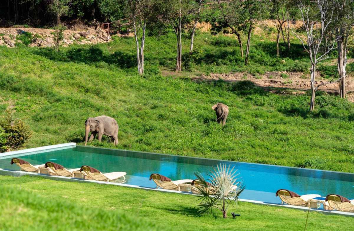 WILD COTTAGES ELEPHANT SANCTUARY RESORT WILD COTTAGES ELEPHANT SANCTUARY RESORT