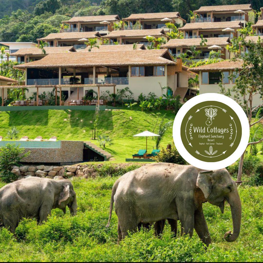 WILD COTTAGES ELEPHANT SANCTUARY RESORT WILD COTTAGES ELEPHANT SANCTUARY RESORT