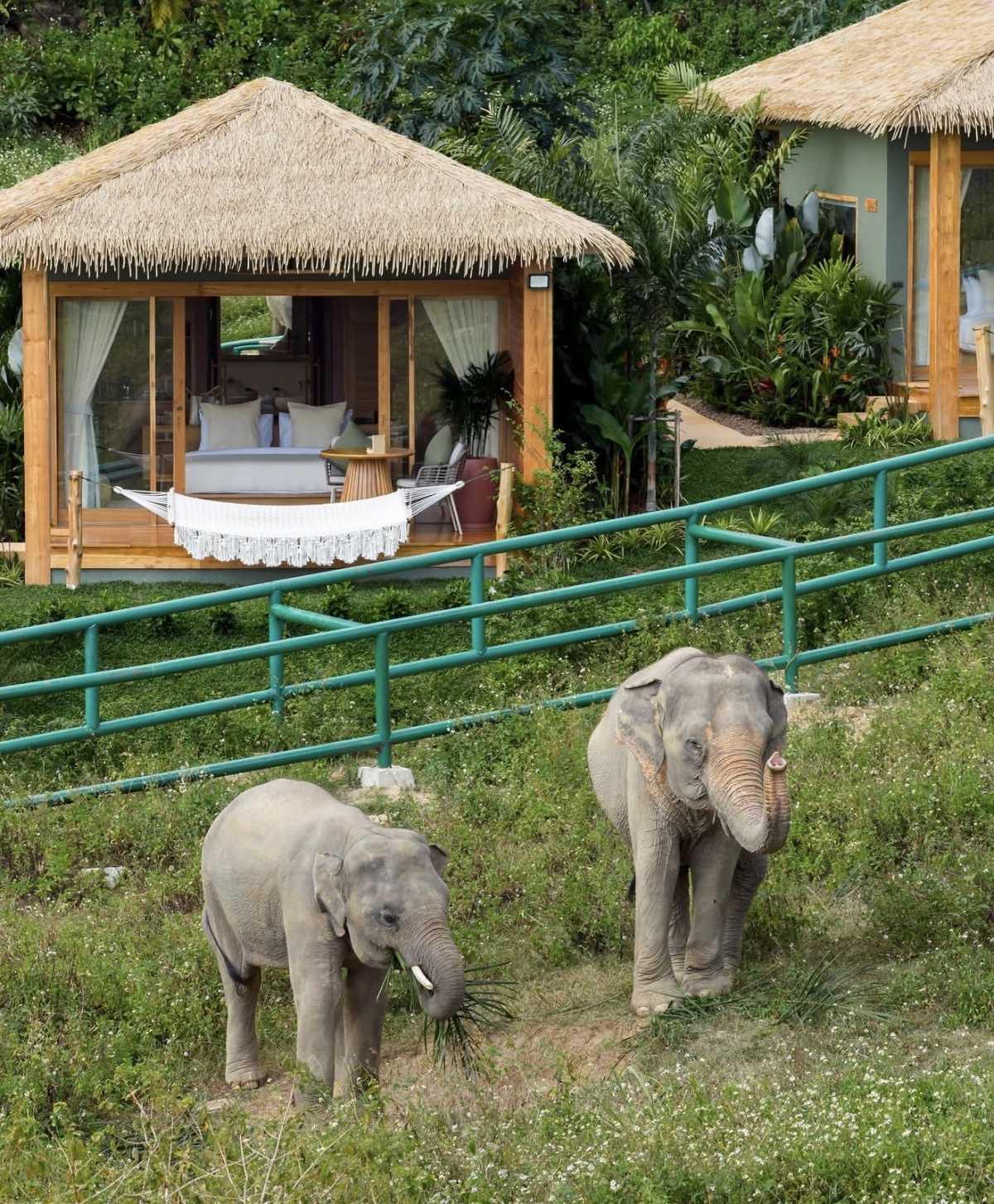 WILD COTTAGES ELEPHANT SANCTUARY RESORT