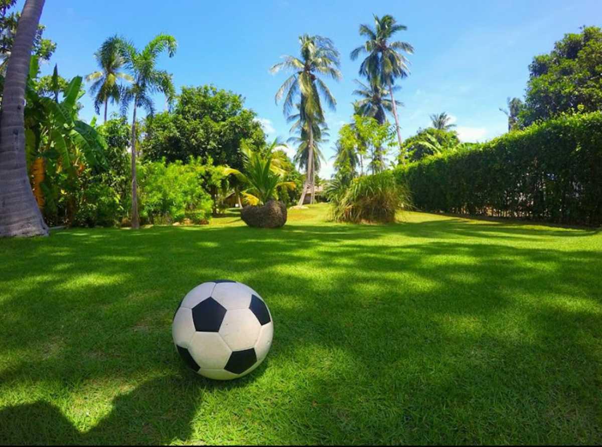 SAMUI FOOTBALL GOLF SAMUI FOOTBALL GOLF