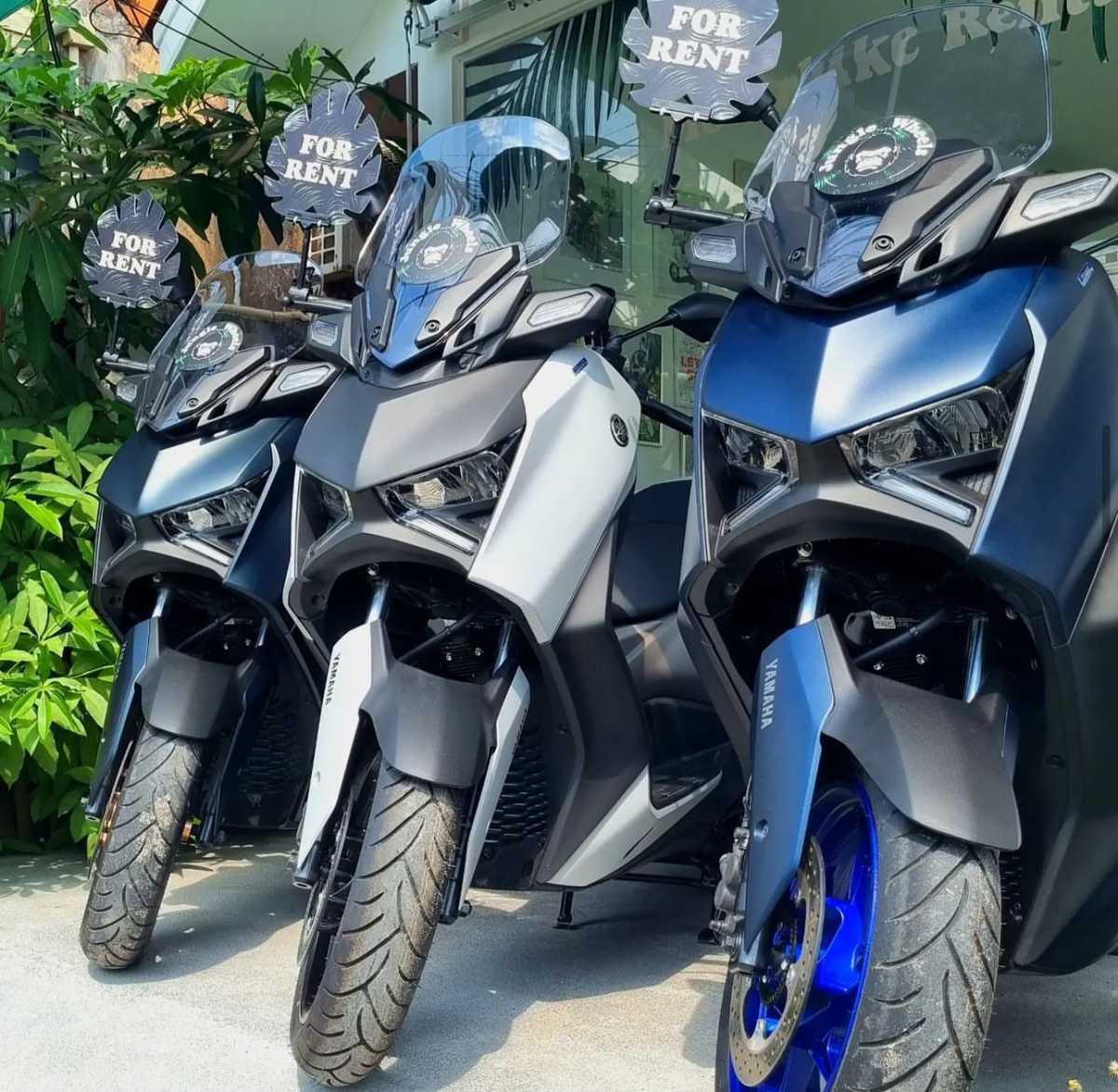 JUNGLE WHEELS SAMUI