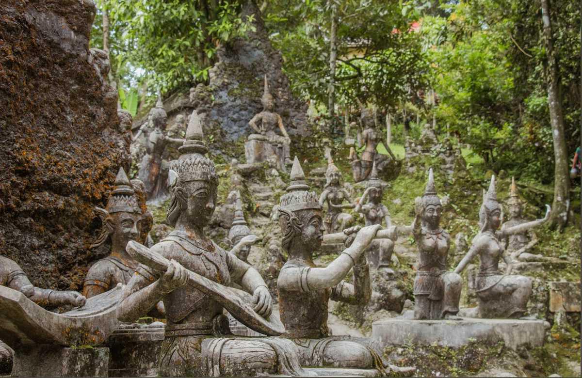 TARNIM MAGIC GARDEN