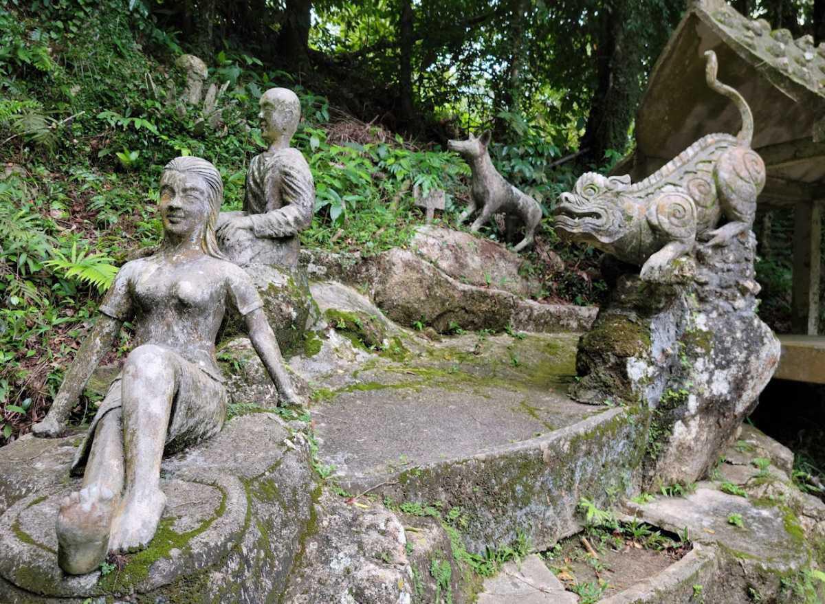 TARNIM MAGIC GARDEN
