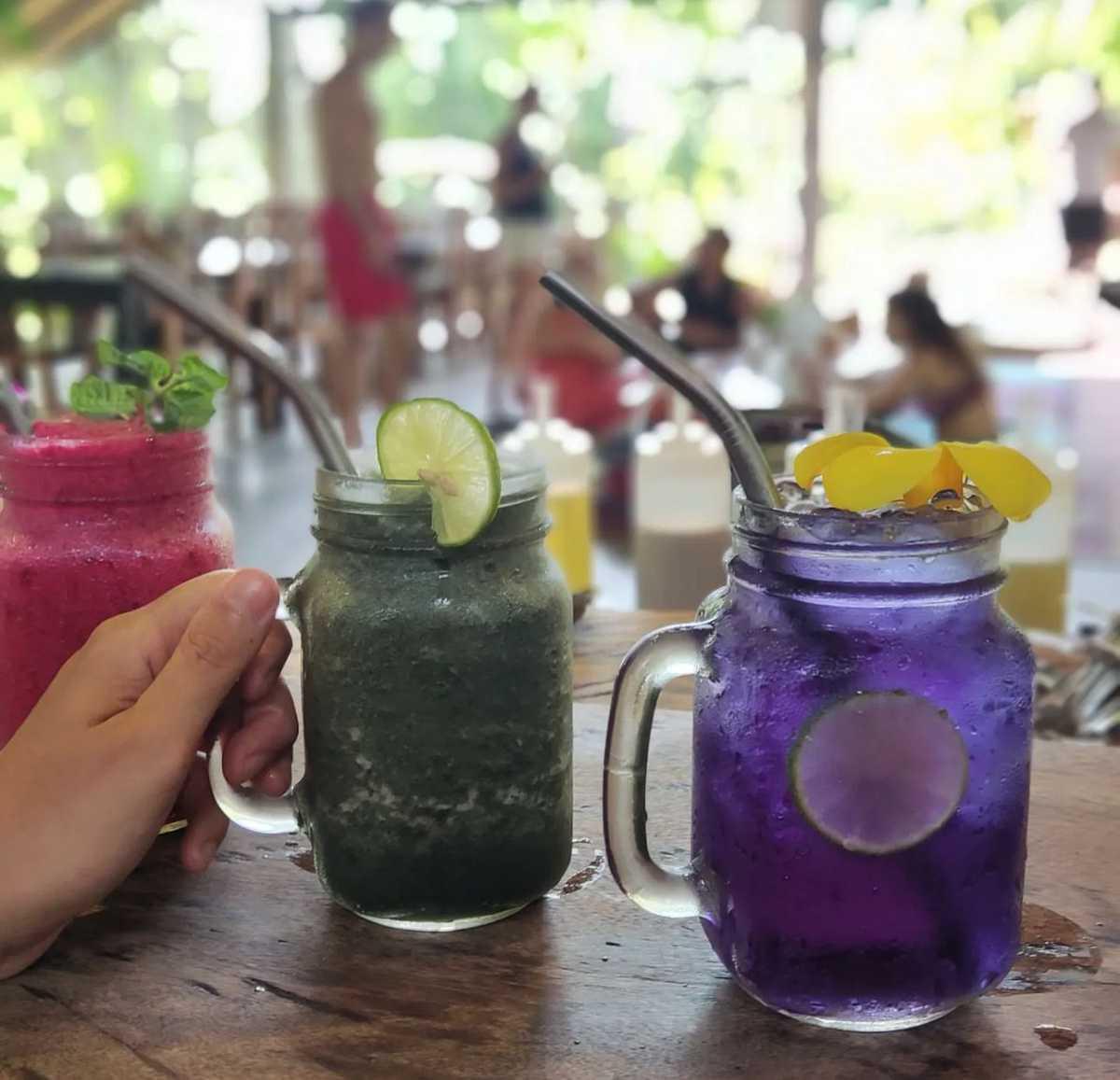 WONDERLAND HEALING CENTER WONDERLAND HEALING CENTER