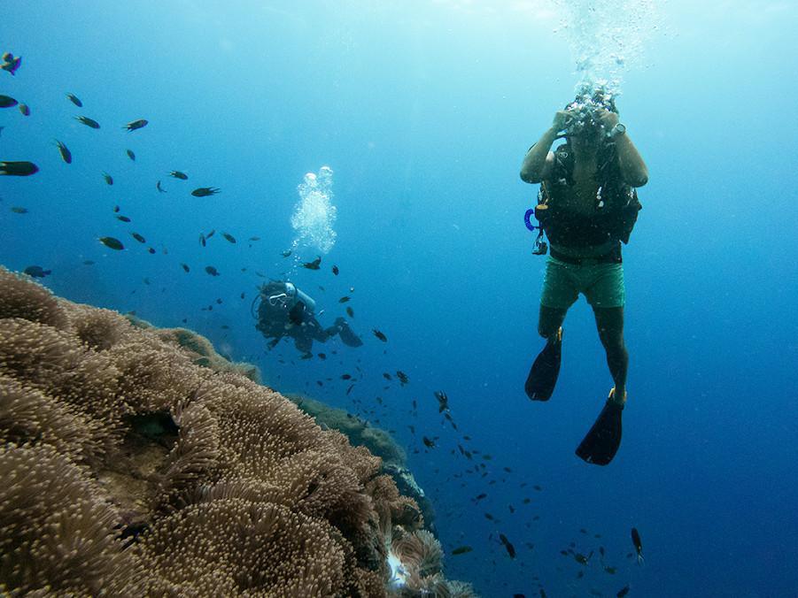 NAVA SCUBA DIVING PADI 5 STAR DIVE CENTER NAVA SCUBA DIVING PADI 5 STAR DIVE CENTER