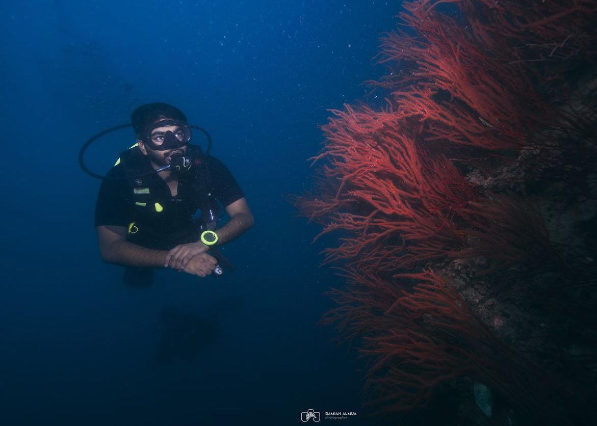 KOH TAO DIVERS KOH TAO DIVERS