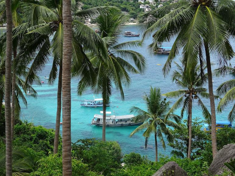 JOHN-SUWAN VIEWPOINT
