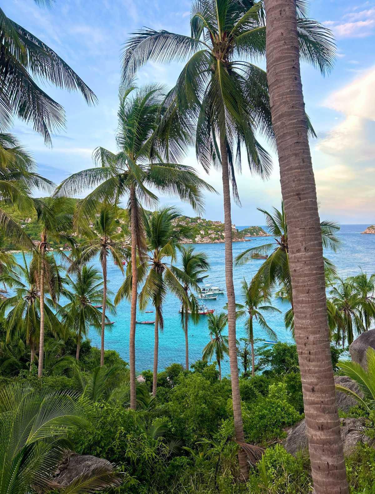 TREASURE ISLAND CHALLENGE