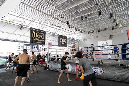 THE BOX BOXING ACADEMY & TRAINING CAMP THE BOX BOXING ACADEMY & TRAINING CAMP