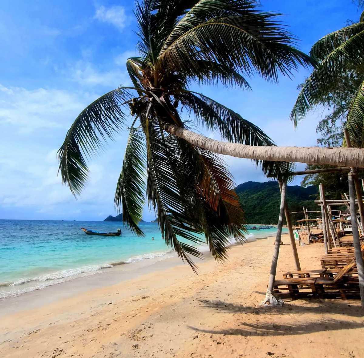 MAYA BEACH CLUB KOH TAO MAYA BEACH CLUB KOH TAO