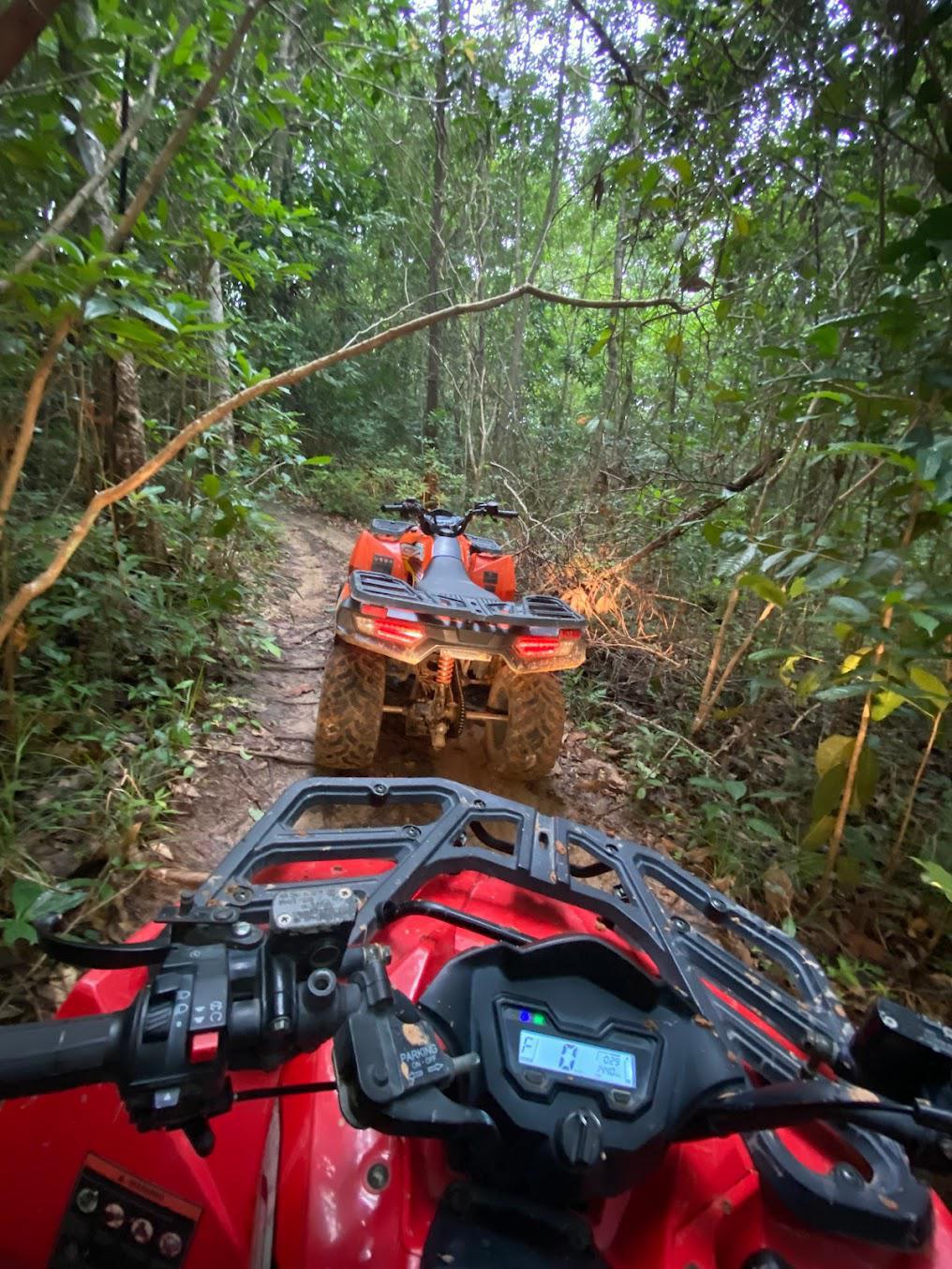 JUNGLE FLIGHT ATV JUNGLE FLIGHT ATV