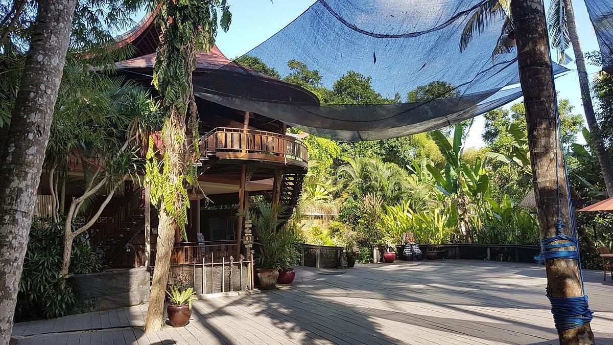 THE YOGA BARN THE YOGA BARN