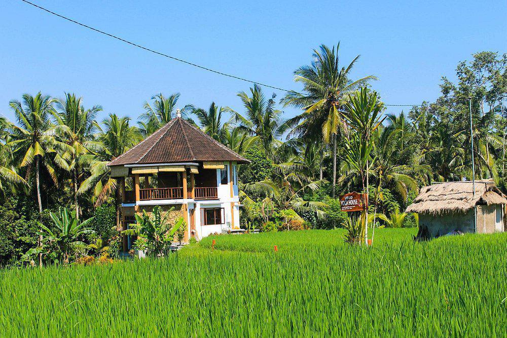 RUMAH UBUD YOGA RUMAH UBUD YOGA