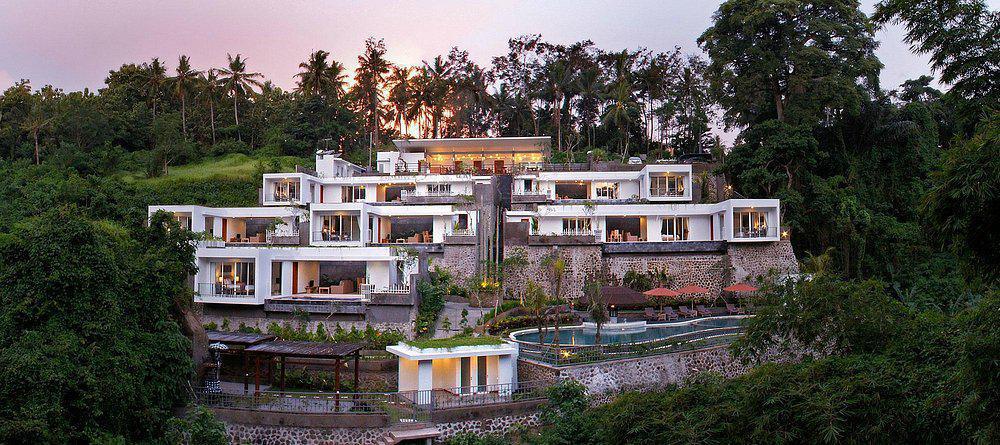 BLOOMING LOTUS YOGA BLOOMING LOTUS YOGA