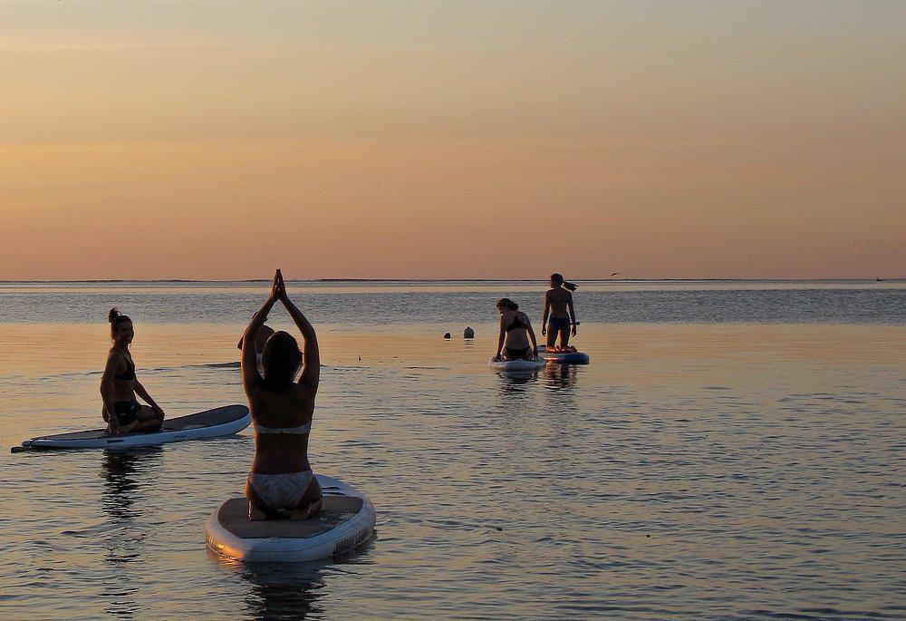 POWER OF NOW OASIS POWER OF NOW OASIS