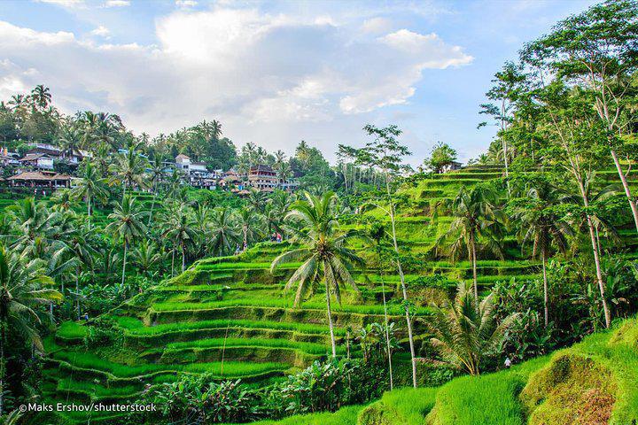 ALL-INCLUSIVE UBUD PRIVATE TOUR ALL-INCLUSIVE UBUD PRIVATE TOUR