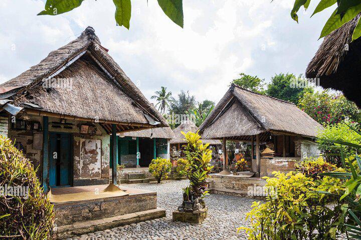 ALL-INCLUSIVE UBUD PRIVATE TOUR