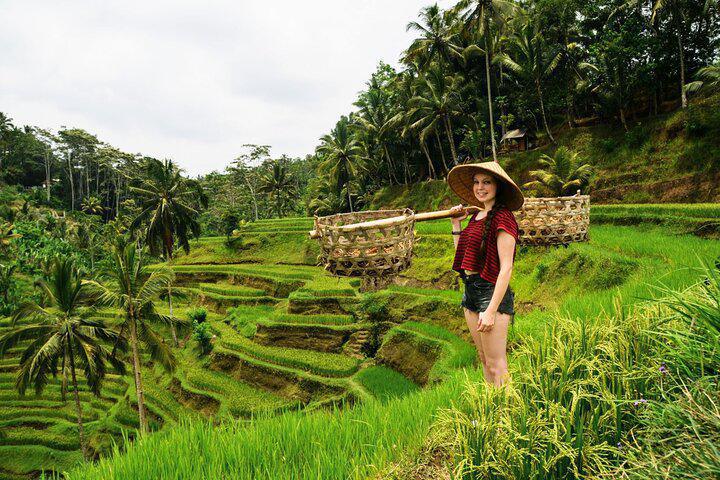BEST OF UBUD 1-DAY PRIVATE TOUR BEST OF UBUD 1-DAY PRIVATE TOUR