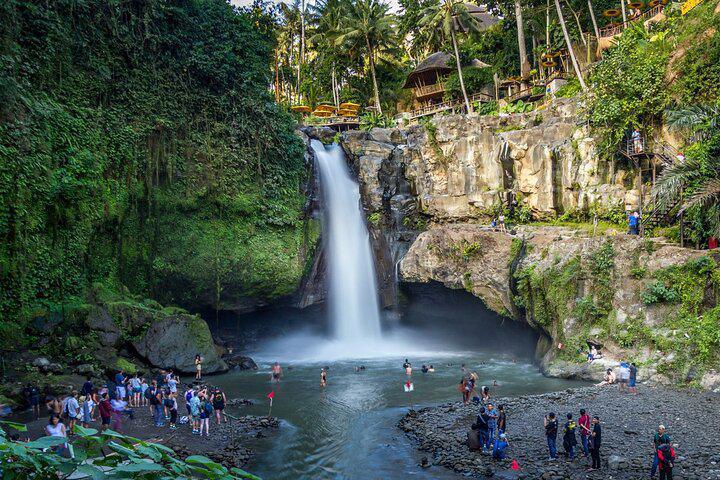 BEST OF UBUD 1-DAY PRIVATE TOUR BEST OF UBUD 1-DAY PRIVATE TOUR