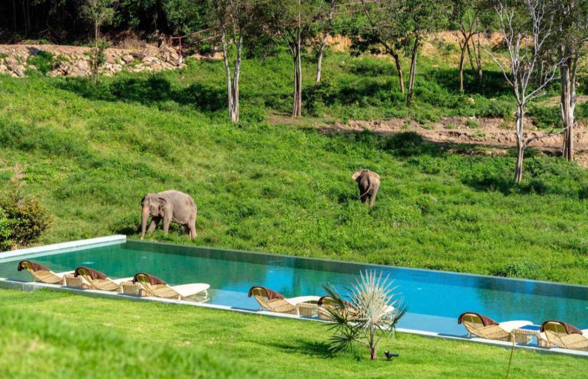 WILD CHILD WILD CHILD