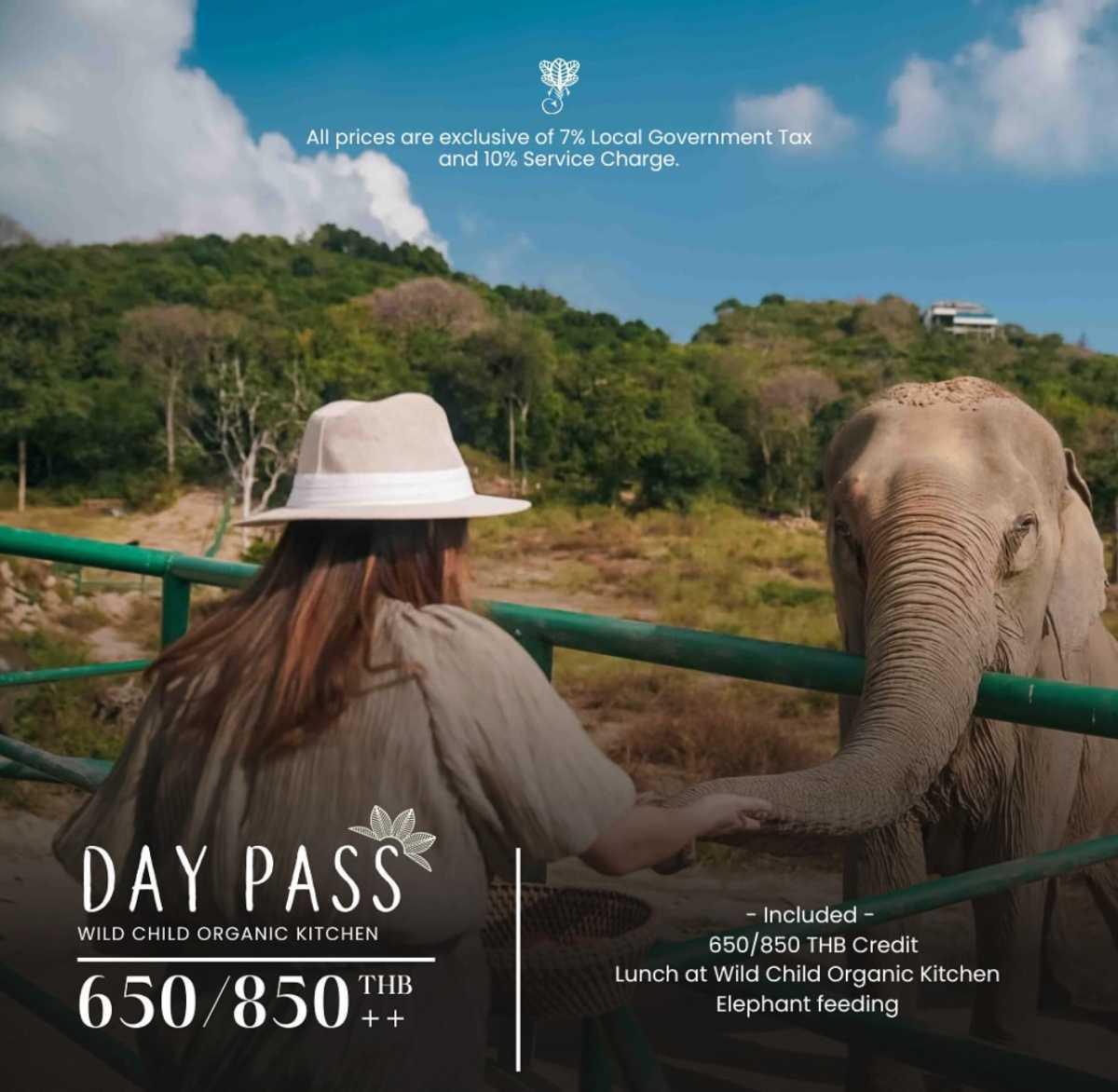 WILD CHILD WILD CHILD