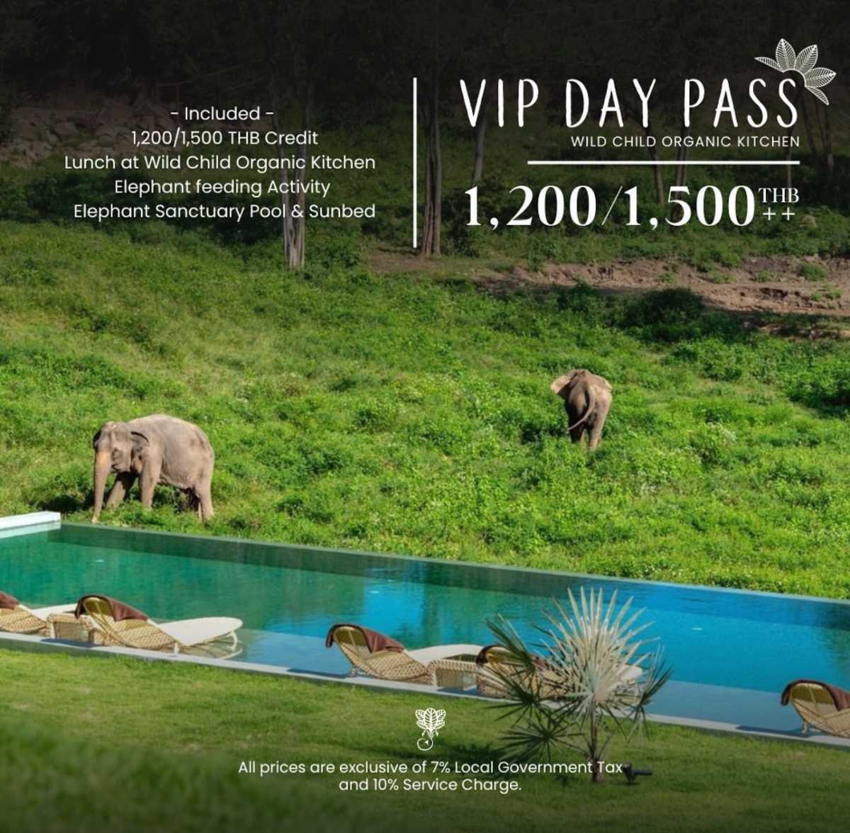 WILD CHILD WILD CHILD