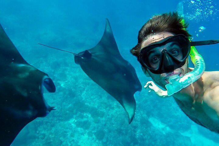 NUSA PENIDA SNORKELING WITH MANTA BAY & ISLAND TOUR NUSA PENIDA SNORKELING WITH MANTA BAY & ISLAND TOUR