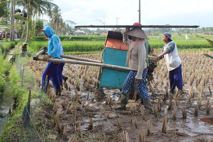 BALINESE COOKING SCHOOL (9 DISH COOKING AND MARKET TOUR)