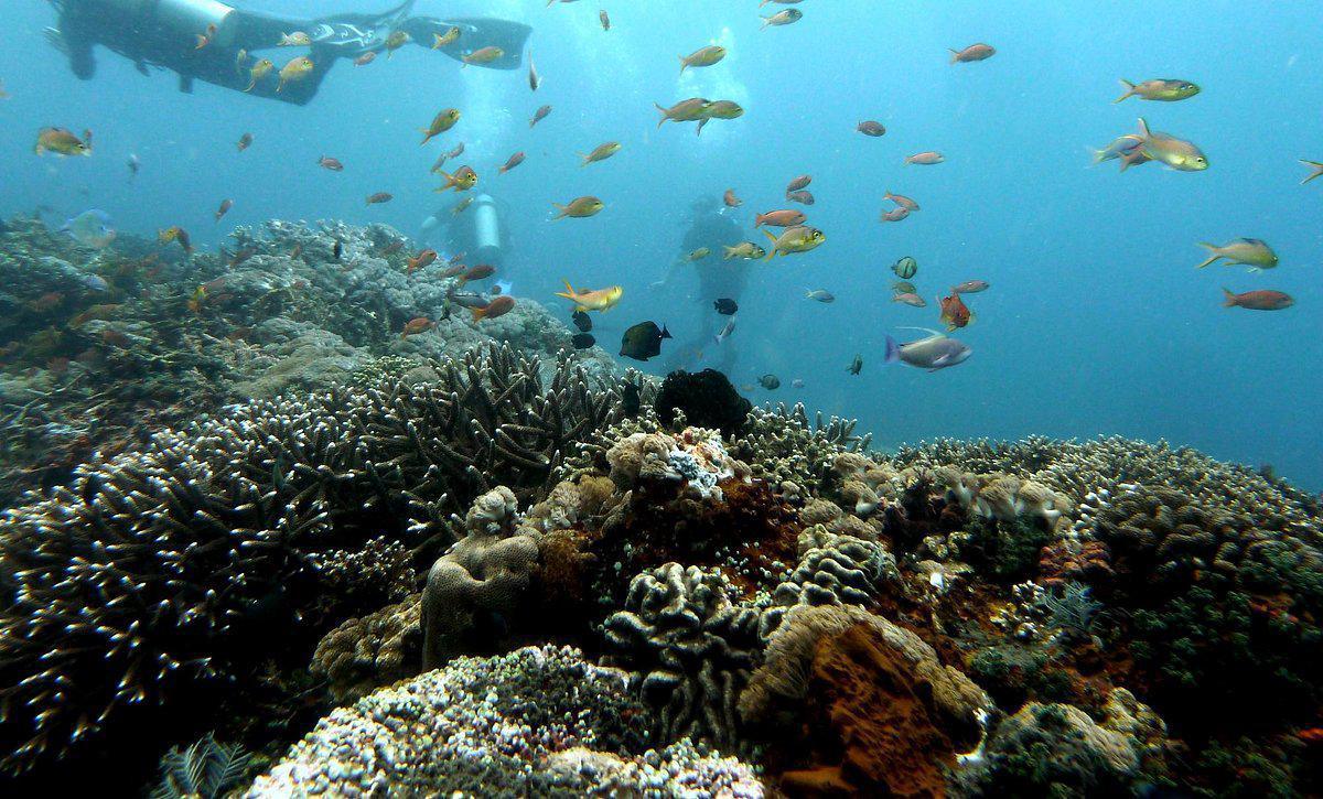 ADVENTURE SCUBA DIVING BALI ADVENTURE SCUBA DIVING BALI