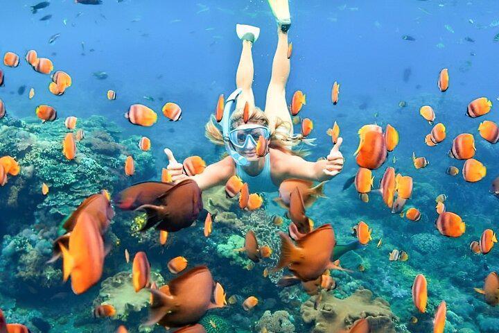 DUNE PENIDA DIVE CENTER