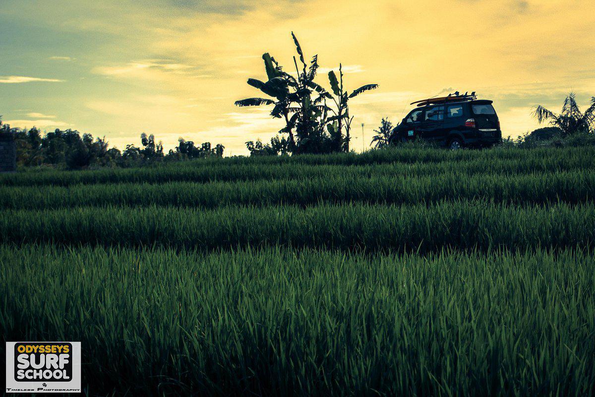 ODYSSEYS SURF SCHOOL