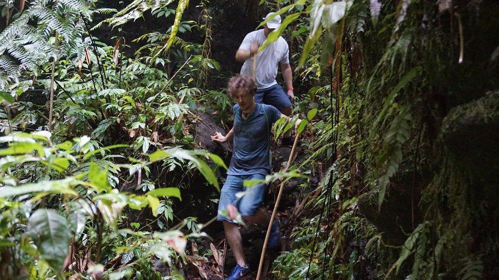 TARO VILLAGE EXPERIENCE