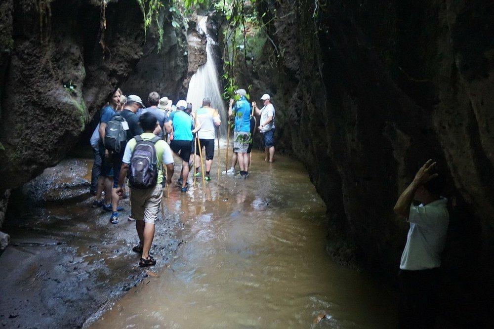 TARO VILLAGE EXPERIENCE