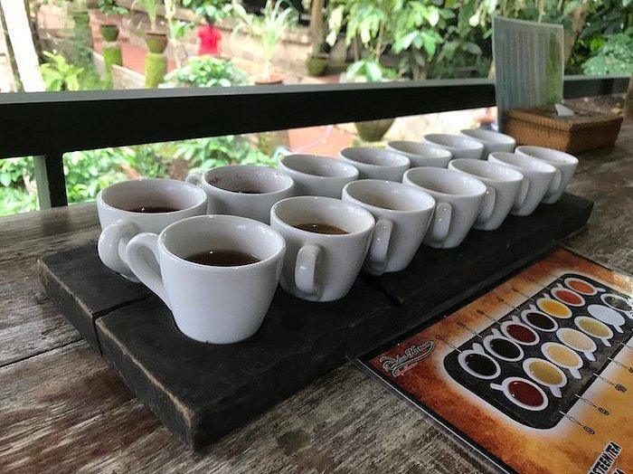 LUMBUNG SARI HOUSE OF COFFEE