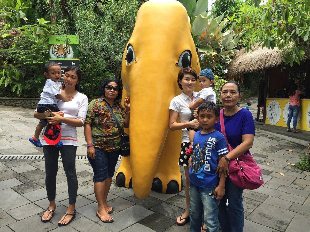 BALI RENT CAR WITH DRIVER