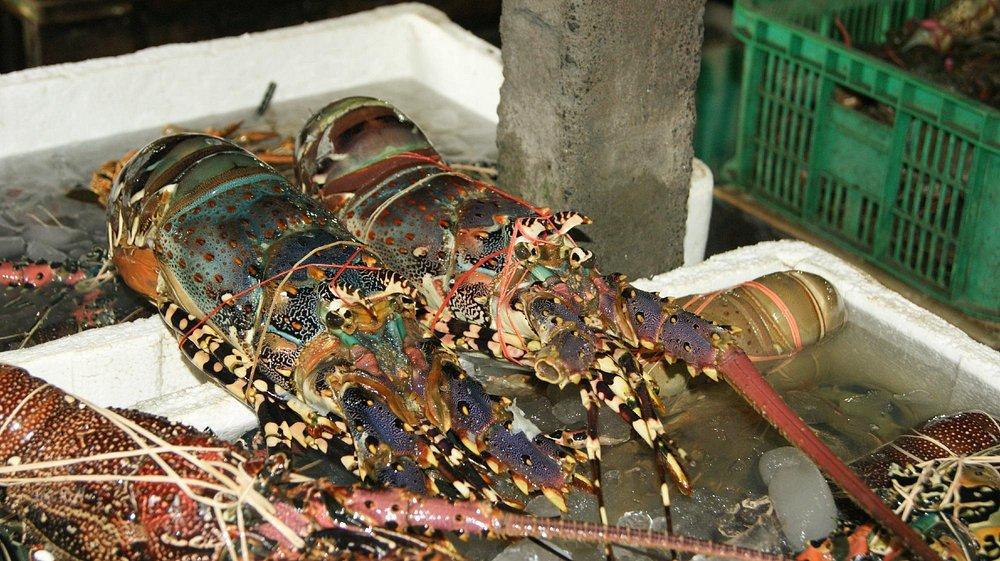 PASAR IKAN JIMBARAN PASAR IKAN JIMBARAN