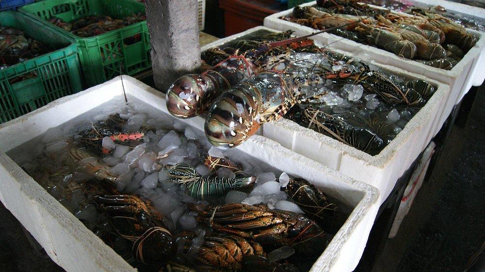 PASAR IKAN JIMBARAN PASAR IKAN JIMBARAN