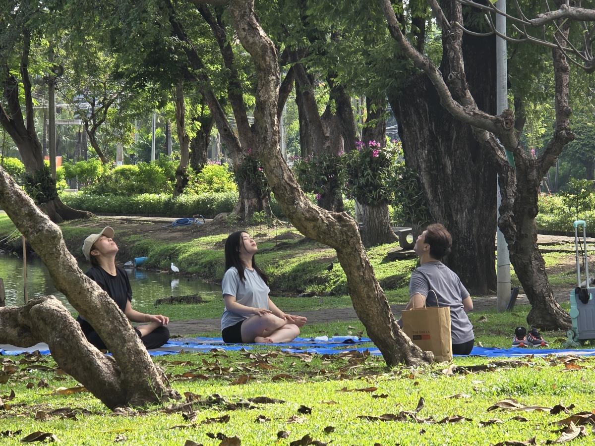 YOGA IN THE PARK 