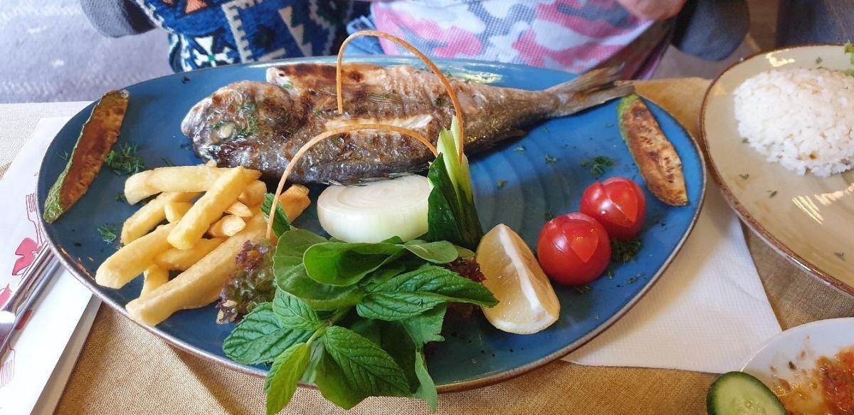 LAST OTTOMAN CAFE & RESTAURANT