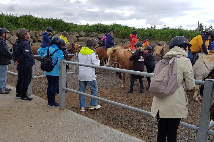RED LAVA HORSE RIDING TOUR FROM REYKJAVIK