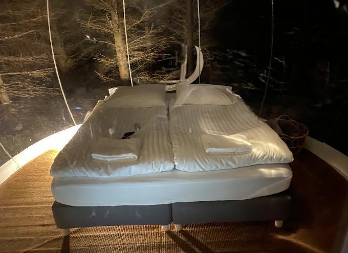 BUBBLE HOTEL ICELAND HROSSHAGI AND ÖLVISHOLT RÓBERT BUBBLE HOTEL ICELAND HROSSHAGI AND ÖLVISHOLT RÓBERT