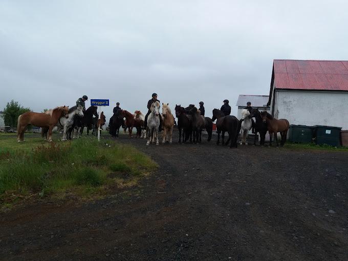 ÁSAHRAUN GUESTHOUSE