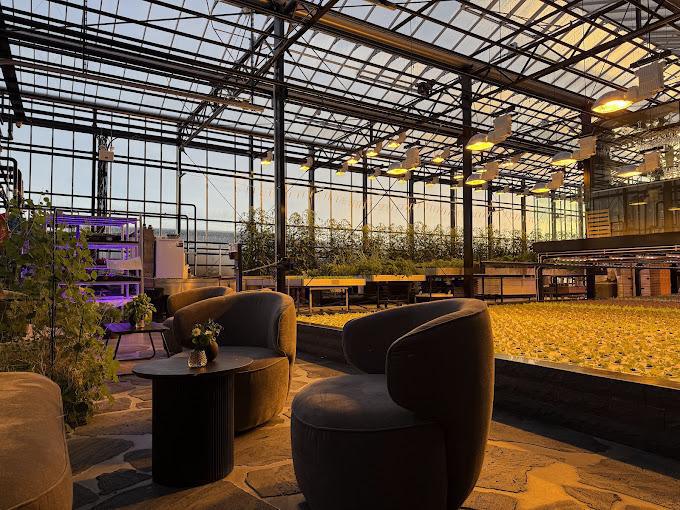 SÓL RESTAURANT SÓL RESTAURANT